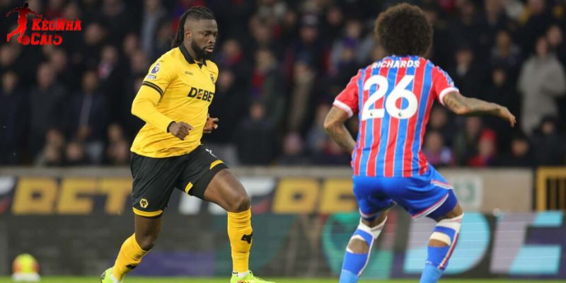 Crystal Palace vs Wolves luôn cống hiến những trận cầu giàu thể lực Crystal Palace vs Wolves luôn cống hiến những trận cầu giàu thể lực