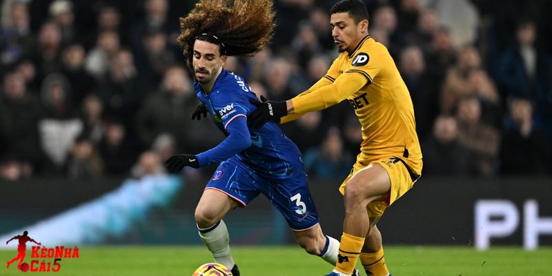 Wolves vs Chelsea đã cầm chân nhau trước đó Wolves vs Chelsea đã cầm chân nhau trước đó